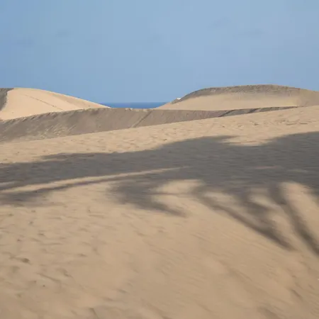 Dunas Privilege By Masvacaciones