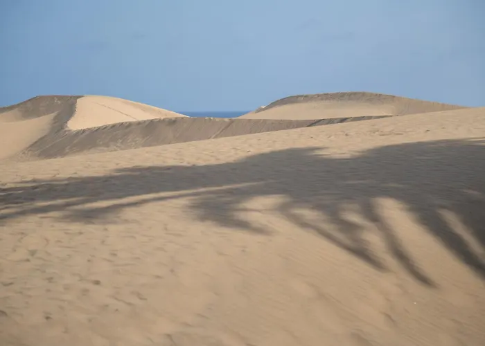 Dunas Privilege By Masvacaciones